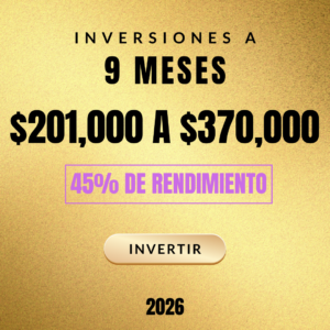 Inversión a 9 Meses - $201000 a $370000 - 45% Utilidad