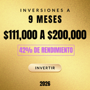 Inversión a 9 Meses - $111000 a $200000 - 42% Utilidad (copia)